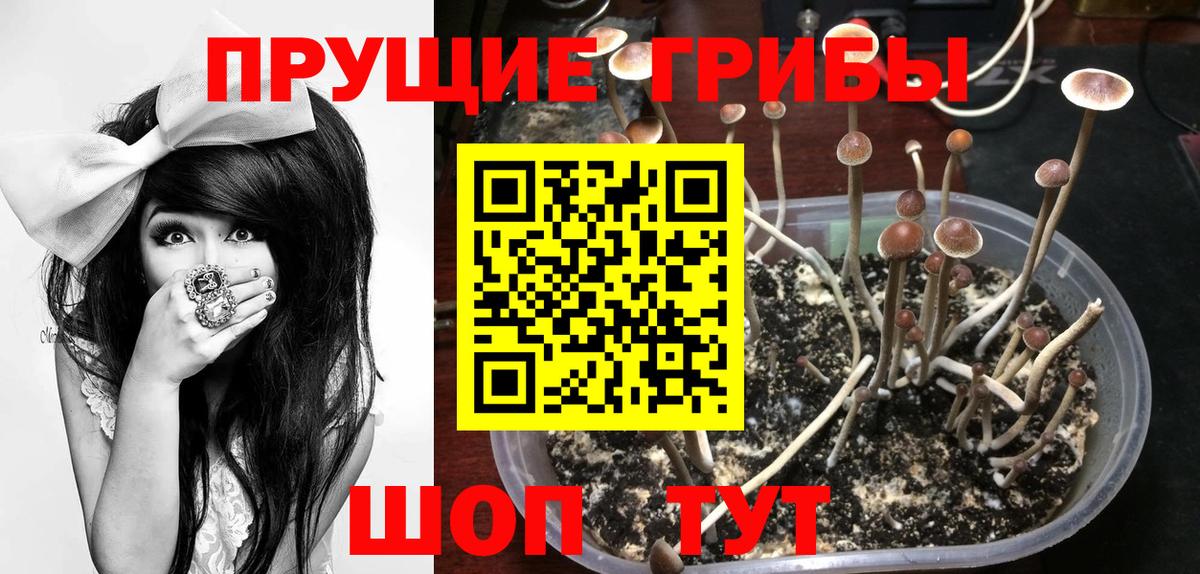 Галлюциногенные грибы Magic Shrooms  Вход с VPN  Зеленогорск 