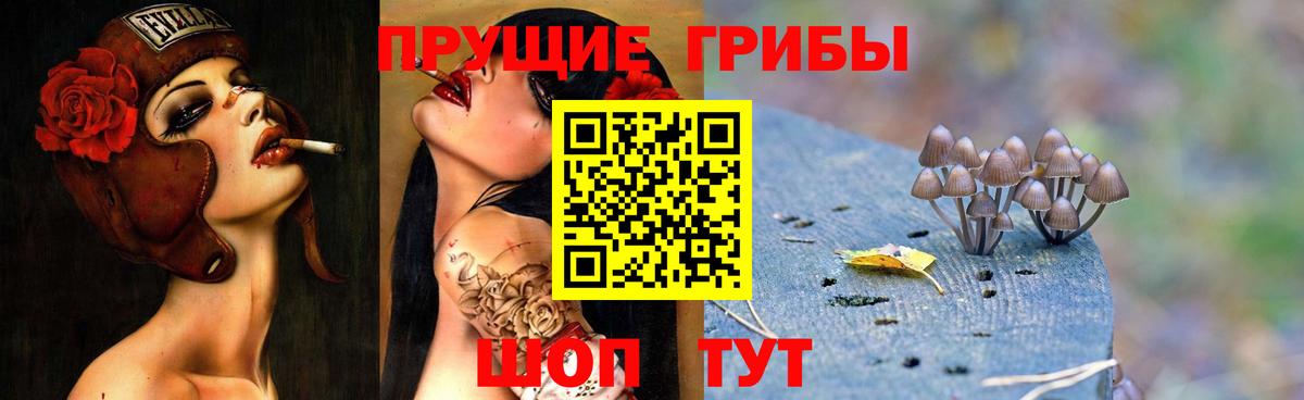 Псилоцибиновые грибы мухоморы Зеленогорск